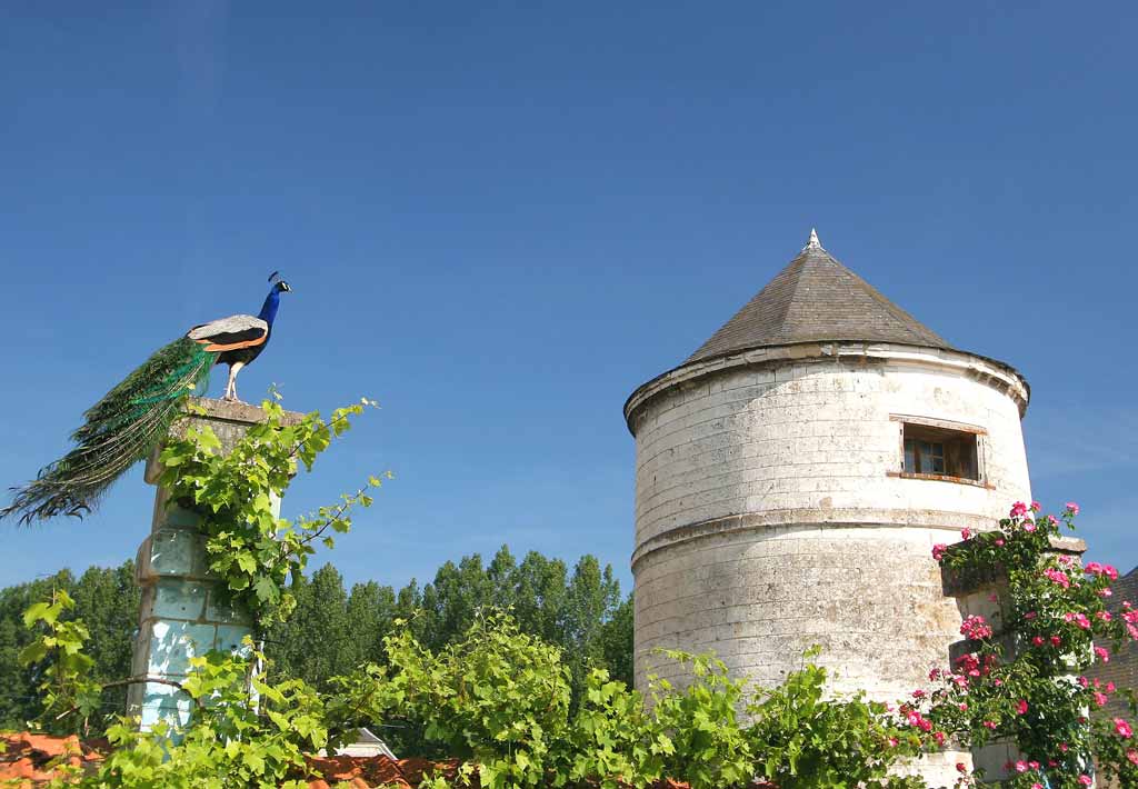 Abbaye_de_Valloires_16